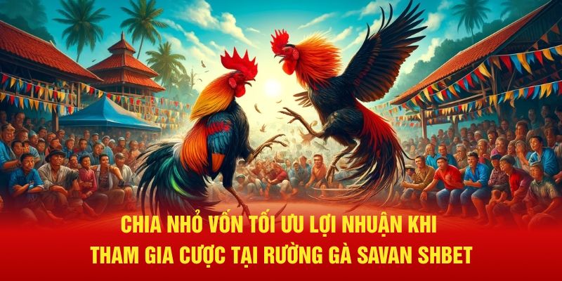 Chia nhỏ vốn tối ưu lợi nhuận khi tham gia cược tại rường gà savan SHBET