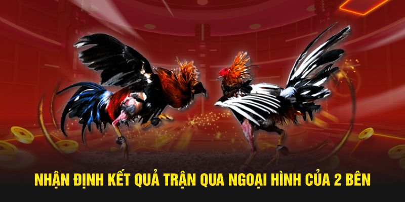 Nhận định kết quả trận qua ngoại hình của 2 bên 